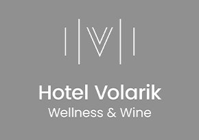 logotyp-7
