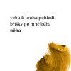 8e911632f7de2fe2670b3a55b3091ff5